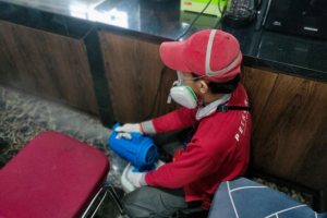 Jasa Pembasmi Hama Pasar Rebo Jakarta No.1 Terbaik