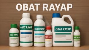 apakah obat rayap berbahaya