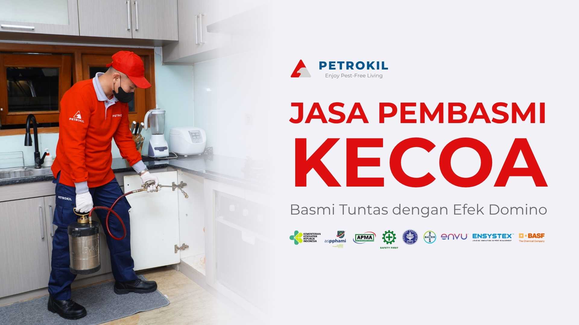 Petugas jasa basmi kecoa Petrokil sedang menyemprot area dapur untuk menghilangkan sarang kecoa secara menyeluruh.
