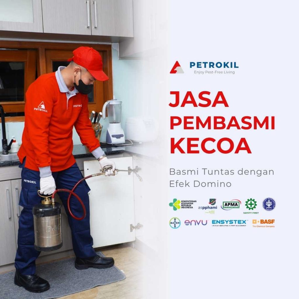 Petugas Petrokil sedang melakukan penyemprotan untuk membasmi kecoa di dapur rumah pelanggan.