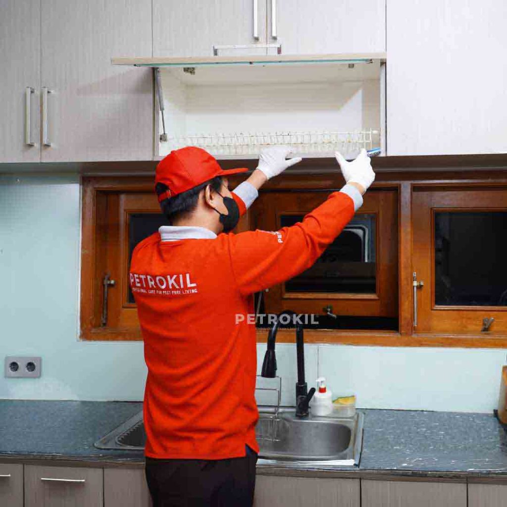 Jasa Anti Rayap & Pest Control | Chemical Kualitas Jerman - Australia 52 Teknisi Petrokil sedang melakukan proses baiting profesional untuk mengendalikan cicak di area rumah — jasa pembasmi cicak Petrokil yang efektif dan aman.