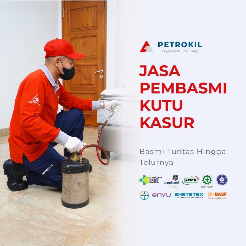 Jasa Pembasmi Kutu Busuk Terbaik | Jabodetabek 1 Petugas jasa pembasmi kutu busuk Petrokil sedang menyemprot kamar tidur menggunakan alat spray profesional.