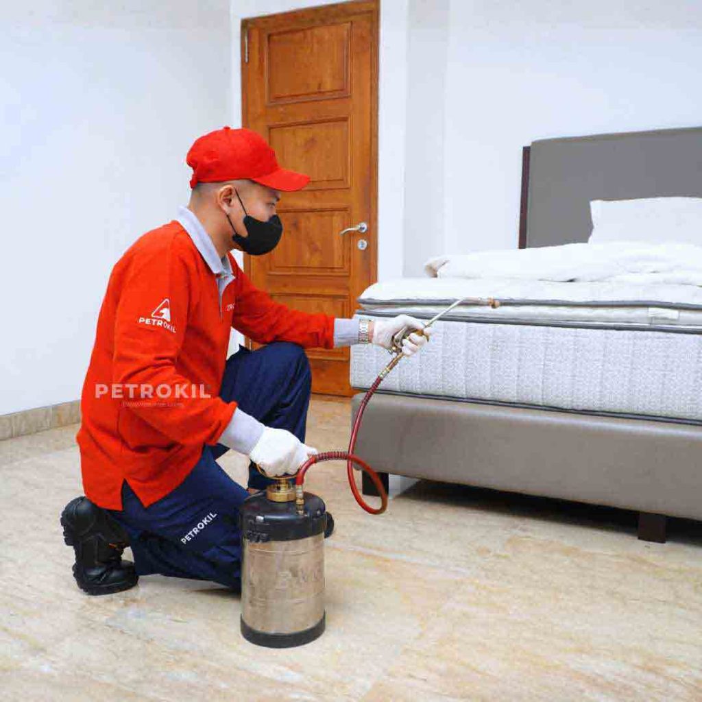 Jasa Anti Rayap & Pest Control | Chemical Kualitas Jerman - Australia 50 Teknisi jasa pembasmi kutu kasur Petrokil sedang melakukan spot spraying di area kasur untuk menghilangkan kutu dan serangga penyebab gatal.