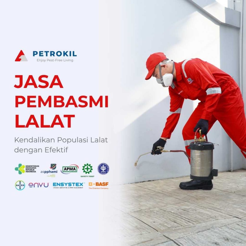 Jasa Pembasmi Lalat Terbaik #1 Jabodetabek 1 Petugas jasa pembasmi lalat Petrokil sedang menyemprot area dapur restoran dengan alat spray profesional.