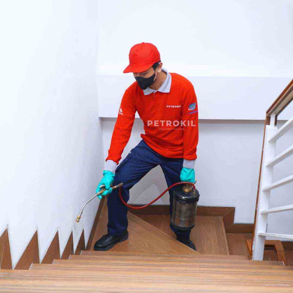 Jasa Anti Rayap & Pest Control | Chemical Kualitas Jerman - Australia 57 Teknisi Petrokil sedang melakukan spot spraying indoor – jasa pembasmi semut profesional di area rumah dan kantor.
