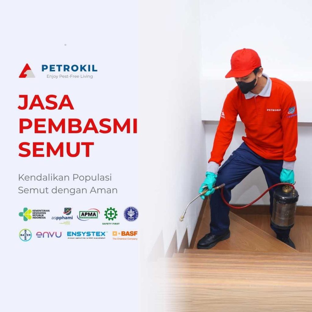 Jasa Pembasmi Semut Terbaik | Jabodetabek 1 Layanan profesional Petrokil sebagai jasa pembasmi semut untuk rumah dan kantor dengan metode aman dan efektif.