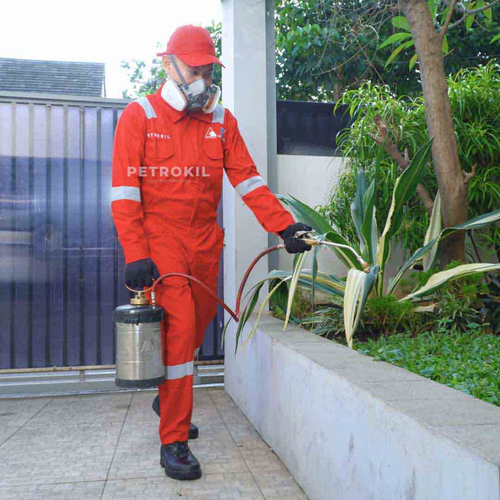 Jasa Anti Rayap & Pest Control | Chemical Kualitas Jerman - Australia 56 Teknisi jasa pembasmi serangga Petrokil sedang melakukan spot spraying di area dalam rumah untuk mengendalikan populasi serangga secara efektif.
