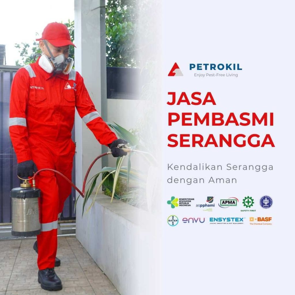 Tim teknisi Petrokil sedang melakukan jasa pembasmi serangga di area rumah pelanggan menggunakan alat fogging profesional.