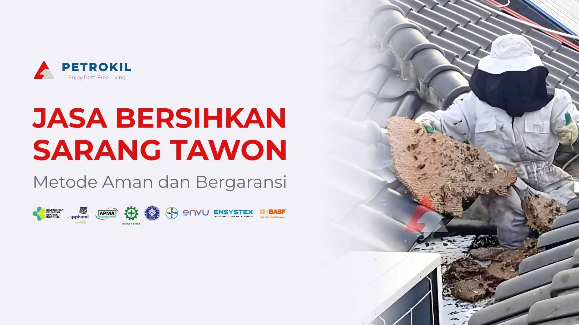 Teknisi Petrokil sedang membasmi sarang tawon di area rumah dengan perlengkapan keselamatan lengkap, sebagai bagian dari layanan jasa pembasmi tawon profesional.