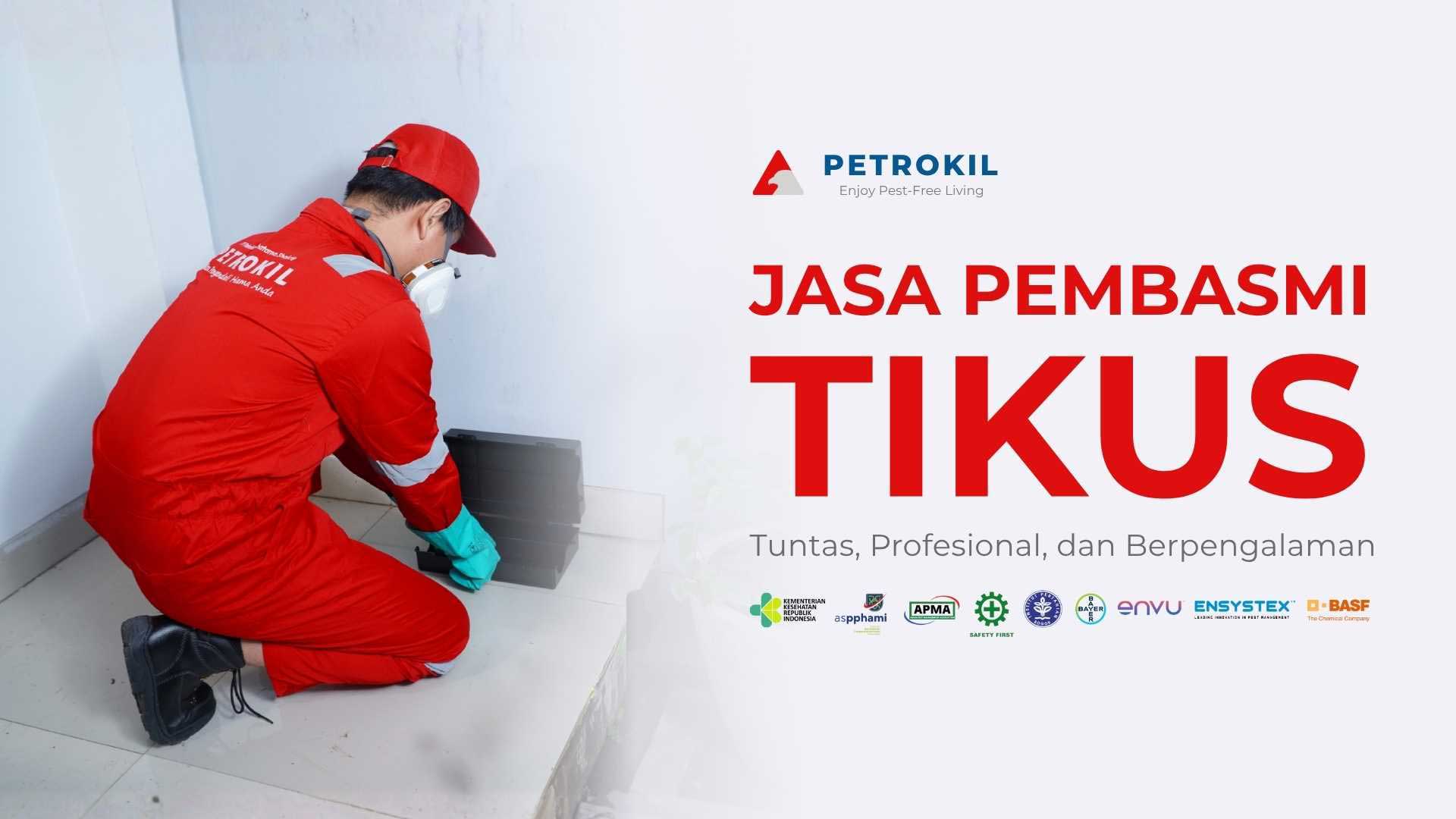 Jasa Pembasmi Tikus Terbaik | Jabodetabek 15 Teknisi Petrokil melakukan jasa pengusir tikus profesional di area rumah dengan alat modern dan aman untuk keluarga.