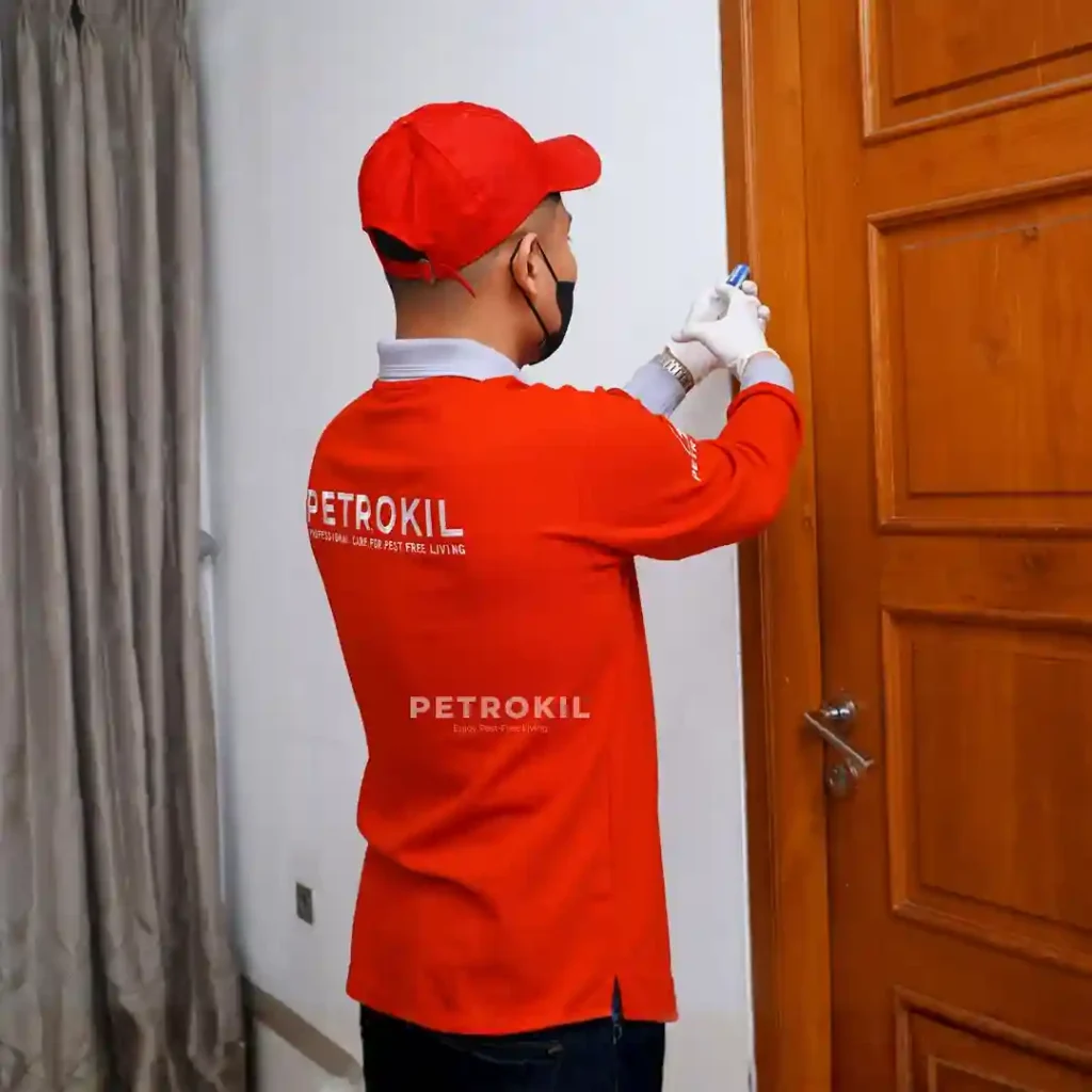 Jasa anti rayap Bogor Petrokil Pasca Konstruksi